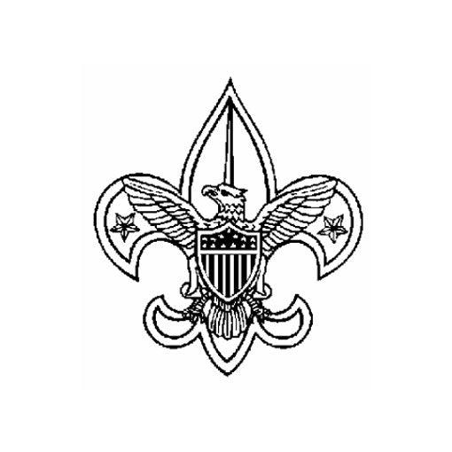 Scout Deluxe Awards and Flag Display Case, , The Military Gift Store, Flag and Medal Display Cases