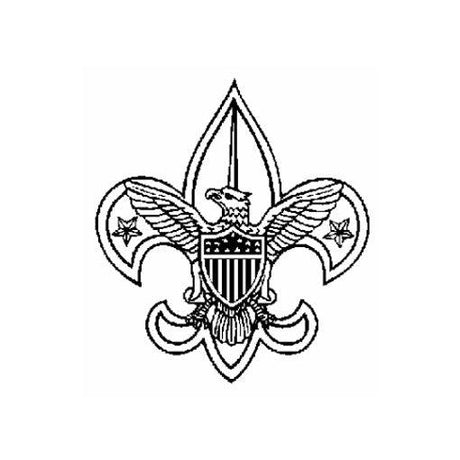 Scout Deluxe Awards and Flag Display Case, , The Military Gift Store, Flag and Medal Display Cases