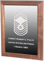 Military Laser Engraved Rank Insignia Mirror Frame High-Gloss Lacquer Finish, Military Laser Engraved Rank Insignia Mirror Frame, The Military Gift Store, Awards Display Cases, Awards Display Frames (62)
