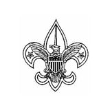 Scout Deluxe Awards and Flag Display Case, , The Military Gift Store, Flag and Medal Display Cases