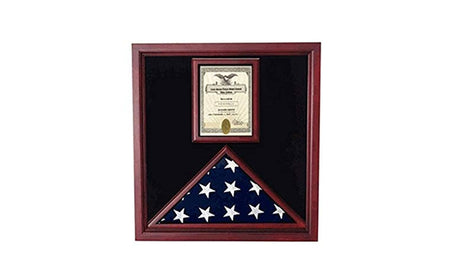 Flag and Document Case - Vertical 8 1/2 x 11 Document for hanging medals and other memorabilia..
