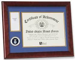 United States Air Force Medal and Award Frame