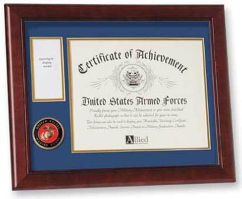 Flags Connections U.S. Marine Corps Medal and Award Frame with Medallion -13 x 16.