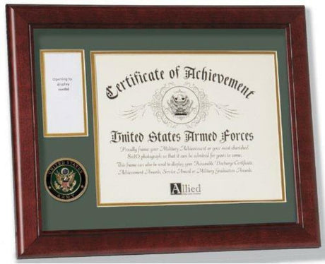 Flag Connections U.S. Army Medal and Award Frame with Medallion -13 x 16.
