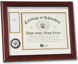 Flags Connections United States Navy Medal And Award Frame. - The Military Gift Store