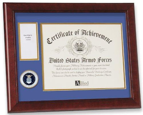 United States Air Force Medal and Award Frame