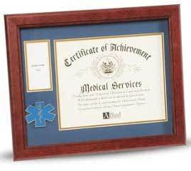 EMS Frame 8x10 EMS Medallion, Certificate, Medal Frame