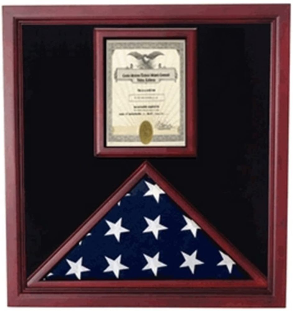 Flag and Document Case - Vertical 8 1/2 x 11 Document for Hanging Medals and Other Memorabilia.