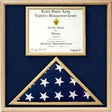 Air Force Flag and certificate Display case