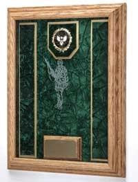 Awards Display Case, Military Awards shadow Box - Walnut, , The Military Gift Store, Flag and Medal Display Cases