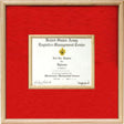 Air Force certificate in middle Display case. - The Military Gift Store