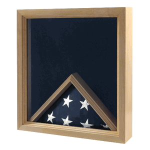 Military Insignia and Flag Display Case.