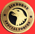 Airborne Wall Tributes, , The Military Gift Store, American Flags- High Quality American Discounted Flags (2)